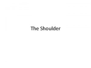 The Shoulder Sternoclavicular Joint Only attachment of upper