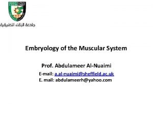 Embryology of the Muscular System Prof Abdulameer AlNuaimi