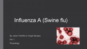 Influenza A Swine flu By Julian Pontifes Angel