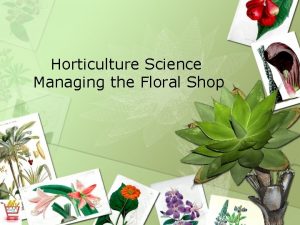 Horticulture Science Managing the Floral Shop Interest Approach