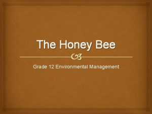 The Honey Bee Grade 12 Environmental Management Bees