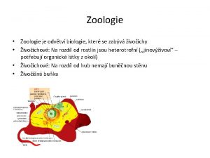 Zoologie Zoologie je odvtv biologie kter se zabv