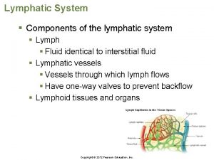 Lymphatic System Components of the lymphatic system Lymph