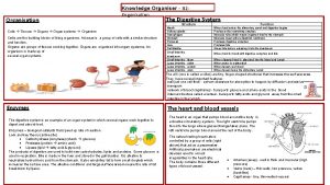 Organisation Knowledge Organiser B 2 Organisation Cells Tissues