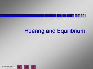 Hearing and Equilibrium Suzanne DAnna 1 Parts of