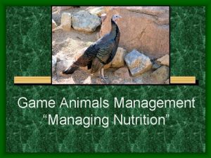 Game Animals Management Managing Nutrition Next Generation Science
