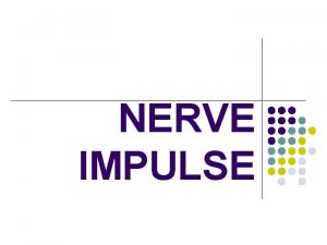 NERVE IMPULSE NERVE IMPULSE l An electric message