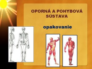 OPORN A POHYBOV SSTAVA opakovanie OPORN SSTAVA VIE