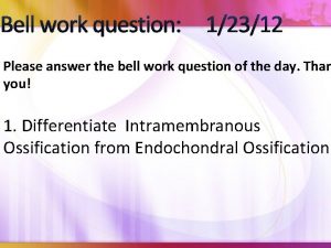 Bell work question 12312 Please answer the bell