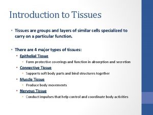 Introduction to Tissues Tissues are groups and layers