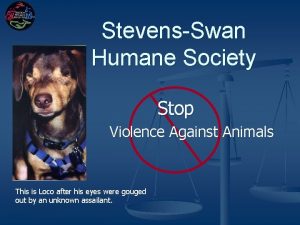 StevensSwan Humane Society Stop Violence Against Animals This