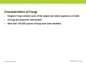 Characteristics of Fungi Kingdom Fungi contains some of
