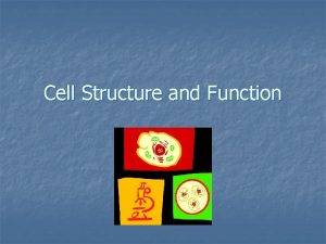 Cell Structure and Function What is Cytology The