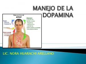 MANEJO DE LA DOPAMINA LIC NORA HUARACHI ARELLANO