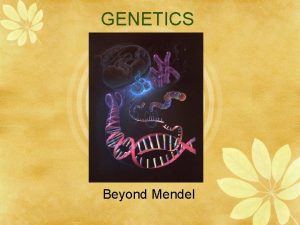 GENETICS Beyond Mendel Basic Punnett Squares Single trait