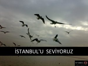 STANBULU SEVYORUZ Erich Fromm der ki Sevgi ilgi