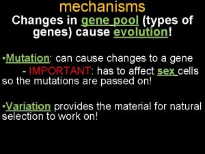 mechanisms Changes in gene pool types of genes