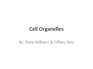 Cell Organelles By Tiana Williams Tiffany Ross What