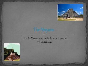 The Mayans How the Mayans adapted to their