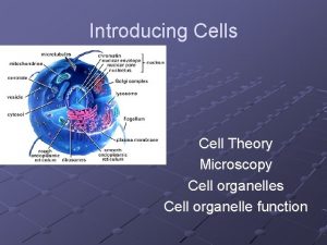 Introducing Cells Cell Theory Microscopy Cell organelles Cell