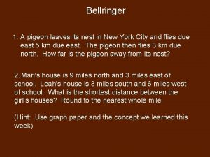 Bellringer 1 A pigeon leaves its nest in