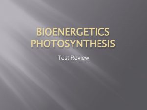 BIOENERGETICS PHOTOSYNTHESIS Test Review What factors affect photosynthesis