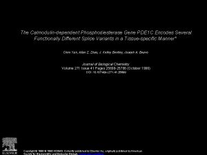 The Calmodulindependent Phosphodiesterase Gene PDE 1 C Encodes