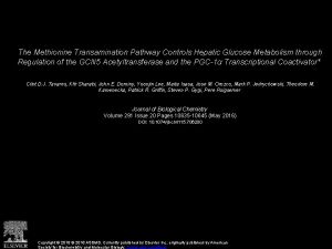 The Methionine Transamination Pathway Controls Hepatic Glucose Metabolism