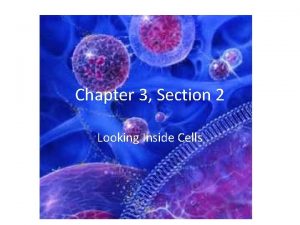 Chapter 3 Section 2 Looking Inside Cells Organelles