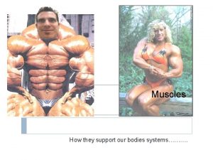 Muscles How they support our bodies systems Muscles