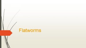 Flatworms What is a Flatworm Flatworms are in