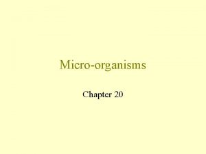 Microorganisms Chapter 20 Microbiology Microbiology is the study