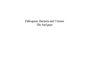 Pathogenic Bacteria and Viruses The bad guys VIRUSES
