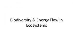 Biodiversity Energy Flow in Ecosystems Predators or Prey