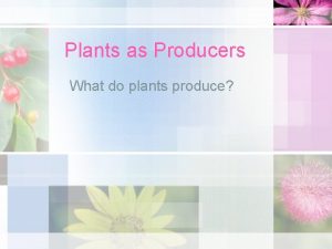 Plants as Producers What do plants produce Plants