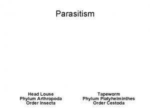 Parasitism Head Louse Phylum Arthropoda Order Insecta Tapeworm