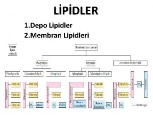 LPDLER 1 Depo Lipidler 2 Membran Lipidleri BYOLOJK