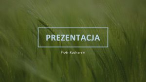 PREZENTACJA Piotr Kucharski Firma Contoso wspiera spoecznoci rolnicze