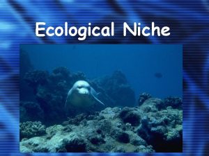 Ecological Niche Ecological Niche REMEMBER The habitat is