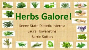 Herbs Galore Keene State Dietetic Interns Laura Howenstine