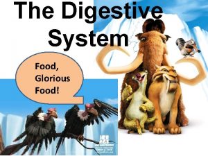 The Digestive System Food Glorious Food Functions Take