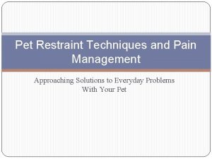 Pet Restraint Techniques and Pain Management Approaching Solutions