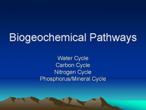 Biogeochemical Pathways Water Cycle Carbon Cycle Nitrogen Cycle
