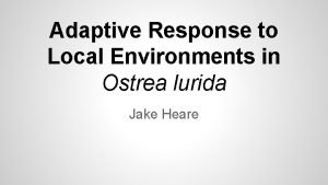 Adaptive Response to Local Environments in Ostrea lurida