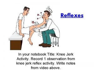 Reflexes In your notebook Title Knee Jerk Activity