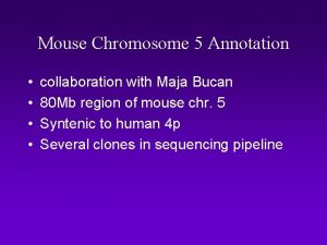 Mouse Chromosome 5 Annotation collaboration with Maja Bucan