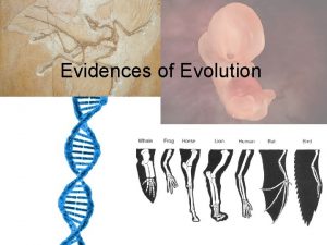 Evidences of Evolution Direct Evidences 1 Adaptations any