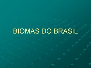 BIOMAS DO BRASIL BIOMA Definio n Bioma ou