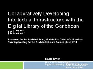 Collaboratively Developing Intellectual Infrastructure with the Digital Library