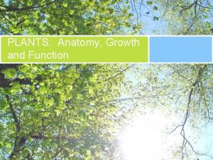 PLANTS Anatomy Growth and Function Plant Characteristics Plants